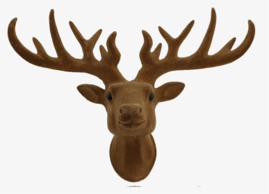 Franky Felt Reindeer Ornament - Deer Head Tree Topper, HD Png Download, Free Download
