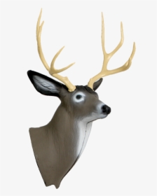 Delta Mckenzie Replacement Mule Deer Head - Transparent Deer Head, HD Png Download, Free Download