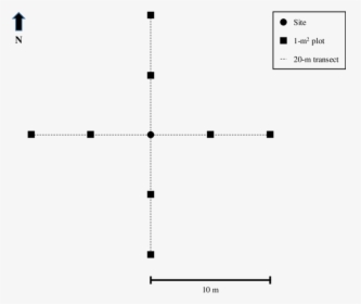 Diagram, HD Png Download, Free Download