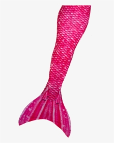 Mermaid Tail Pink Png, Transparent Png, Free Download