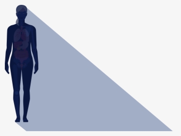 Standing, HD Png Download, Free Download