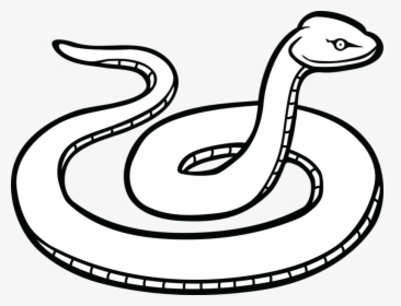 Free Clipart Of A Snake - Snake Clip Art, HD Png Download, Free Download