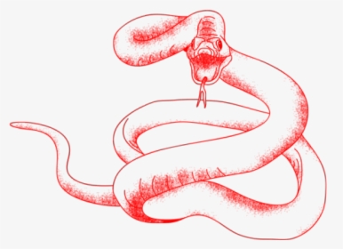 Drawn Snake Snake Png - Red Tumblr Transparent, Png Download, Free Download