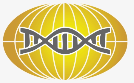 Circle, HD Png Download, Free Download