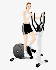 Sport, Cartoon, Fitness, Sports, Illustrations, Physical - Fitness Vector, HD Png Download, Free Download