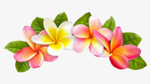 #summertime#summerfun #summercollage #tropical #flowercrown - Tropical Flower Crown Png, Transparent Png, Free Download