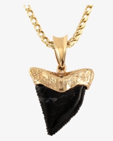Carved Obsidian Shark Pendant"  Class= - Locket, HD Png Download, Free Download