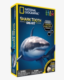 National Geographic Shark Tooth Dig Kit, HD Png Download, Free Download