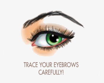 Transparent Raised Eyebrow Clipart - Eyebrow, HD Png Download, Free Download