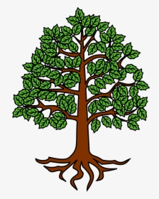 Tree Heraldry Wiki Commons, HD Png Download, Free Download