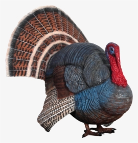 Clip Art Figura A Tama O - Wild Turkey Statue, HD Png Download, Free Download