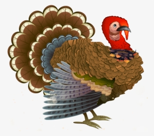#pavo #turkey - Thanksgiving Cornucopia, HD Png Download, Free Download
