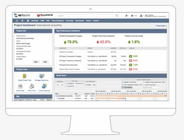 User Interface - Netsuite Srp, HD Png Download, Free Download