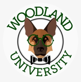 Woodland University - World Book Day 2012, HD Png Download, Free Download