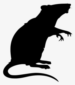 Rat Icon Png, Transparent Png, Free Download