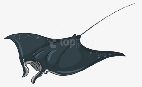 Download Skate Fish Clipart Png Photo - Manta Ray Clipart, Transparent Png, Free Download