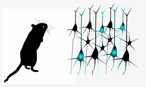 Mouse Silhouette, HD Png Download, Free Download