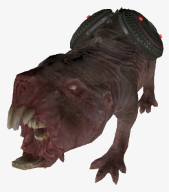 Fo4 Lvlmoleratbomb - Hippopotamus, HD Png Download, Free Download