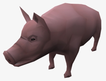 Domestic Pig, HD Png Download, Free Download