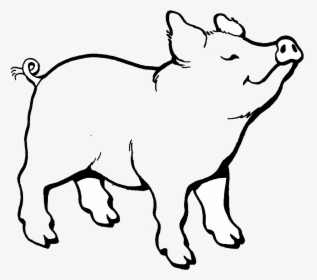 Pig Clipart Black And White Transparent Png - Pig Cartoon Black And White, Png Download, Free Download