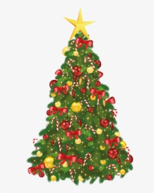 Christmas Tree Png - Transparent Background Christmas Tree Clipart, Png Download, Free Download