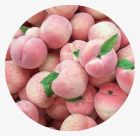 Aesthetic Peach Aesthetic Aesthetic Cute Profile Pictures