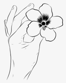 #flower #hand #outline - Line Art, HD Png Download, Free Download