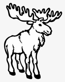 Deer Coloring Book Alaska Moose Adult Clip Art - Moose Coloring Pages, HD Png Download, Free Download