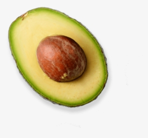 Half Avocado Png Photos - Avocado Png, Transparent Png, Free Download