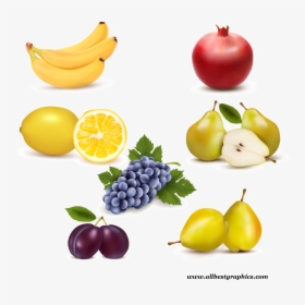 Vector Graphics, HD Png Download, Free Download