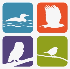 Whitefish Point Bird Observatory Logo - Parrot, HD Png Download, Free Download