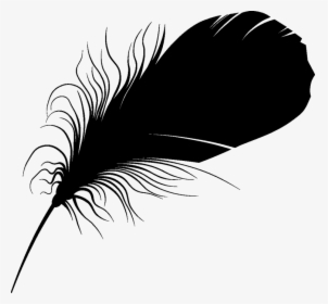 Feather Font Eyelash Beak Silhouette - Feather Vector Png, Transparent Png, Free Download
