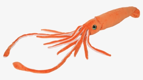 Douglas Cuddle Toys Squid, HD Png Download, Free Download
