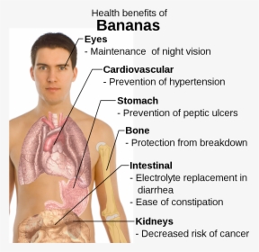 Banana Benefits At Night, HD Png Download, Free Download