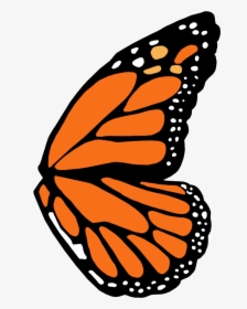 Transparent Tinkerbell Wings Png - Monarch Butterfly Wing Template, Png Download, Free Download