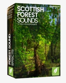 Forest Sounds, HD Png Download, Free Download