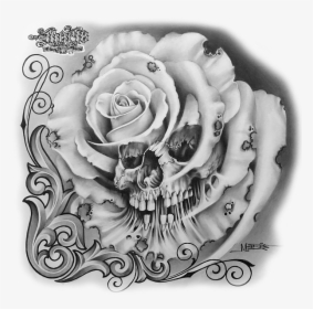 Pencil Skull And Rose Drawing, HD Png Download, Free Download