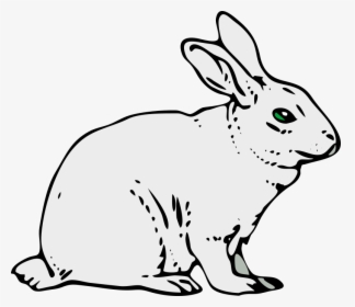 Gray Rabbit Svg Clip Arts - Clip Art Of Rabbit, HD Png Download, Free Download