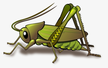 Top Png -cricket Insect Clipart Png - Crickets Clipart, Transparent Png, Free Download