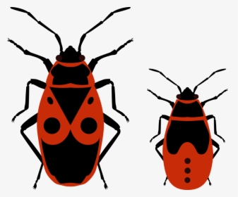 Fireflies And Nymphs - Fire Bug Clipart, HD Png Download, Free Download