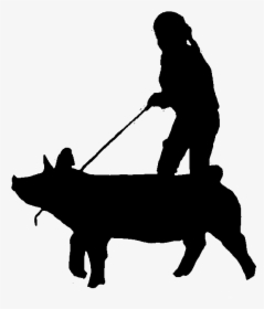 White House Genetics, E - Silhouette Show Show Pig Clip Art, HD Png Download, Free Download