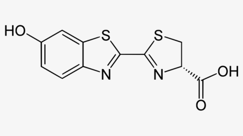 2 Methyl Benzimidazole Synthesis, HD Png Download, Free Download