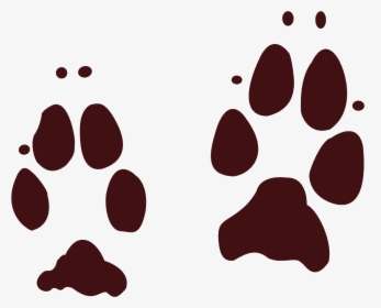 Real Bunny Paw Print Clipart , Png Download - Coyote Tracks Odnr, Transparent Png, Free Download