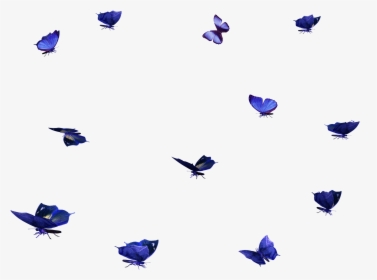 Clip Art Firefly Overlay - Butterflies Photoshop, HD Png Download, Free Download