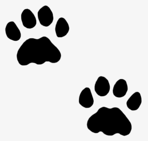 Dog Paws, Cat Paws In Snow, Cat Paw Prints, HD Png Download, Free Download
