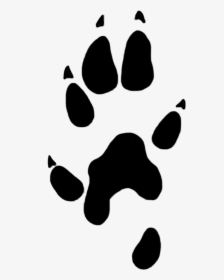 Stoat Paw Prints, HD Png Download, Free Download