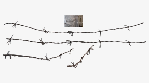 Barbed Wire Fence Chain-link Fencing - Barbed Wire Wire Png, Transparent Png, Free Download