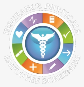 Insurance Physicals And Employee Screening - Healthcare Wheel Logo, HD Png Download, Free Download