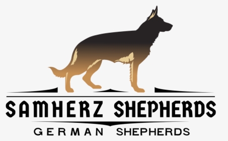 Baja Vom Samherz - Old German Shepherd Dog, HD Png Download, Free Download