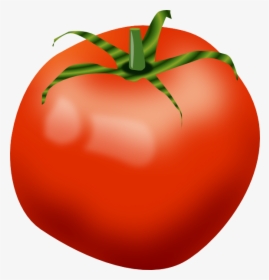 Download Tomato Clip Art Cartoon Png For Designing - Tomato Clipart Png, Transparent Png, Free Download